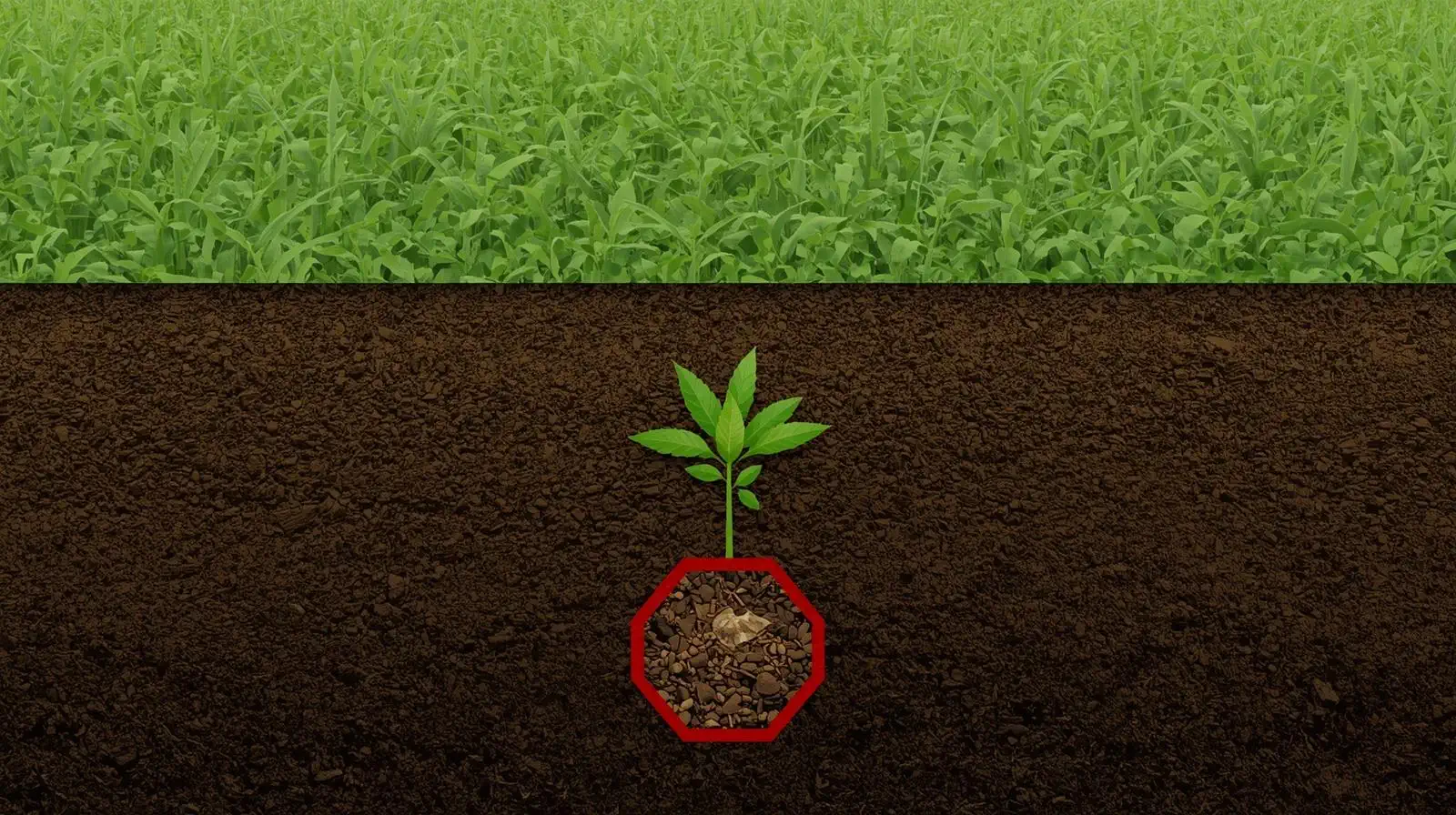 Pre-emergent Herbicides